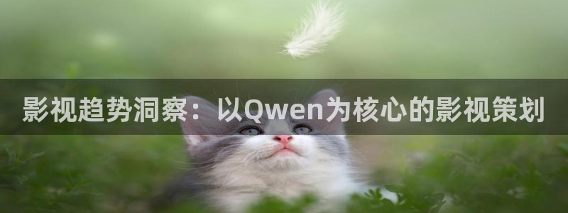 无敌神马琪琪在线观看影院：影视趋势洞察：以Qwen为核心的影视策划