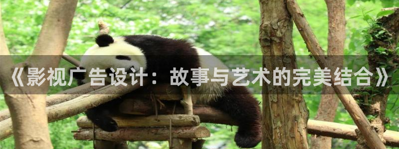 琪琪影院av：《影视广告设计：故事与艺术的完美结合》