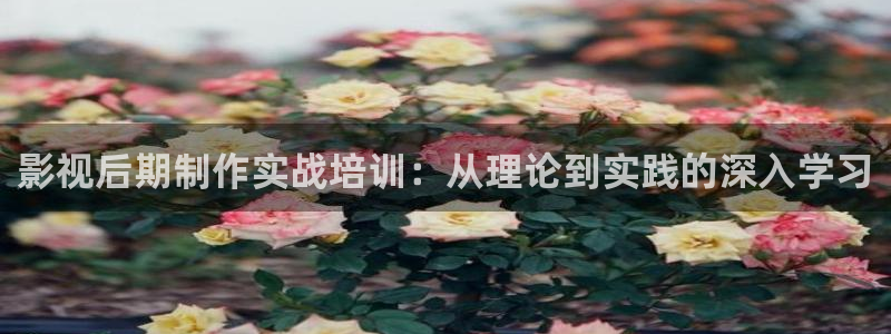 神马琪琪影院：影视后期制作实战培训：从理论到实践的深入学习