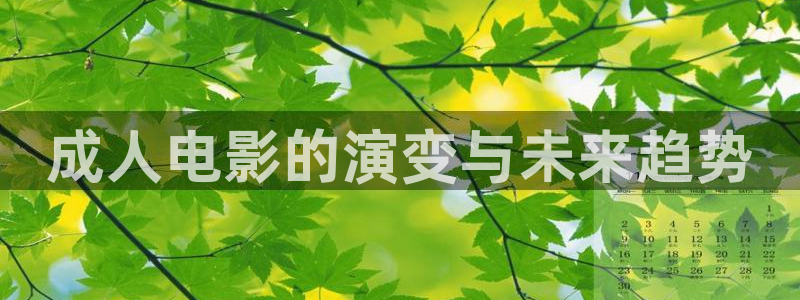 777琪琪午夜理论电影网：成人电影的演变与未来趋势