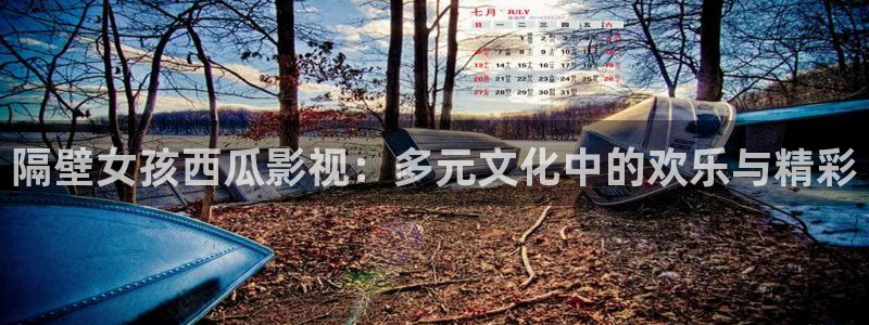 琪琪 影院：隔壁女孩西瓜影视：多元文化中的欢乐与精彩
